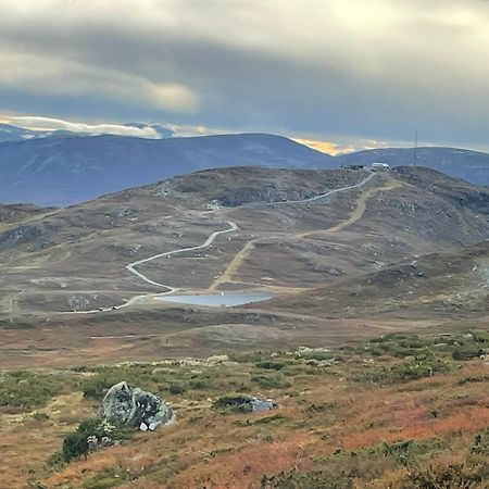 オップダールKoselig Leilighet , Med Parkering Og Ski In &Out.アパートメント エクステリア 写真