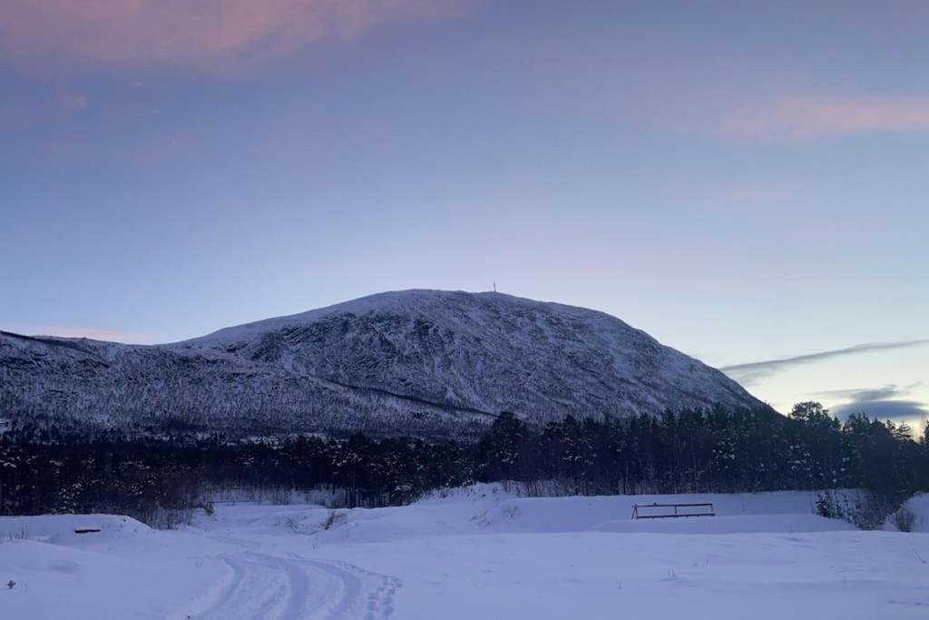 オップダールKoselig Leilighet , Med Parkering Og Ski In &Out.アパートメント エクステリア 写真